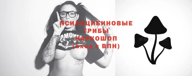 MESCALINE Нязепетровск