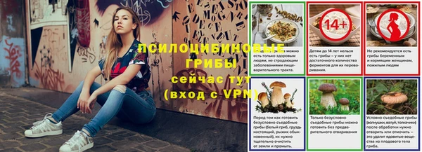 мдпв Заволжск