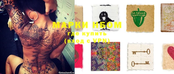 молекула духа Нягань