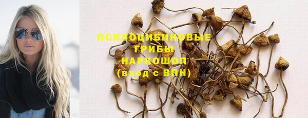MDMA Premium VHQ Зеленокумск