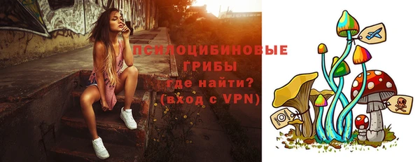 MDMA Premium VHQ Заводоуковск