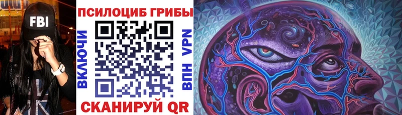 Псилоцибиновые грибы Psilocybine cubensis  Калачинск 
